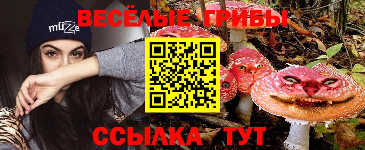 Галлюциногенные грибы ЛСД Александров