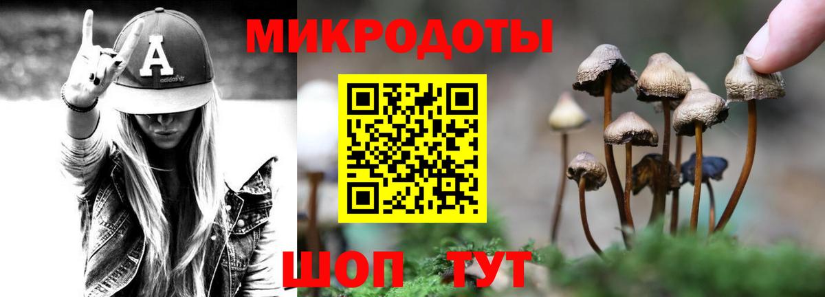 Псилоцибиновые грибы Magic Shrooms  Вход с VPN  Александров  Псилоцибиновые грибы GOLDEN TEACHER 